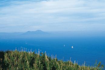 Piano Liguori: tra le viti l'azzurro del mare