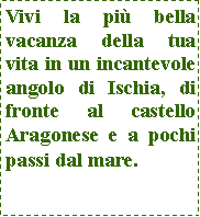 Casella di testo: Vivi la più bella vacanza della tua vita in un incantevole angolo di Ischia, di fronte al castello Aragonese e a pochi passi dal mare.
