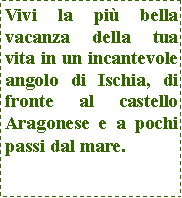 Casella di testo: Vivi la pi bella vacanza della tua vita in un incantevole angolo di Ischia, di fronte al castello Aragonese e a pochi passi dal mare.